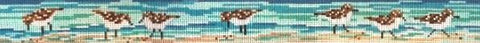 Sanderlings Belt