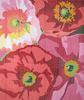Shirley Poppy Rug (Jean Smith Designs)