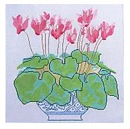 Cyclamen in Blue Bowl