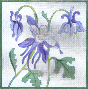 Blue Columbine II