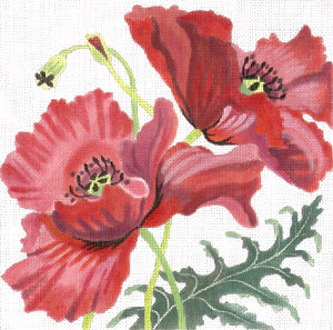 Corn Poppies