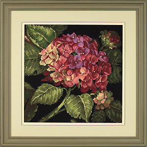 Hydrangea Bloom