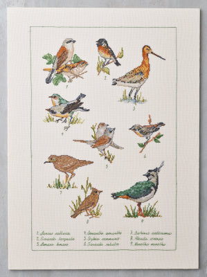 Field Birds (Permin)
