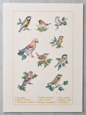 Forest Birds (Permin)