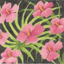 Pink Hibiscus