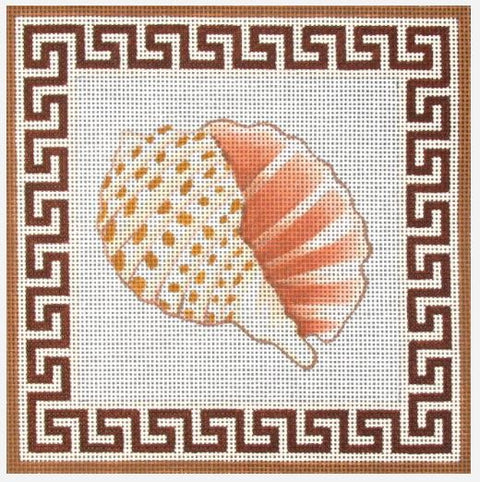 Shell
