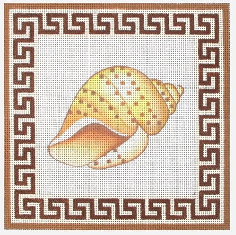 Shell