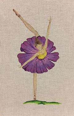 Pansy Ballet - 13M