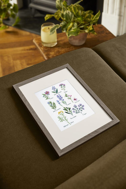 Herbs (Dimensions)