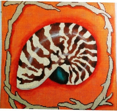 Nautilus on Orange
