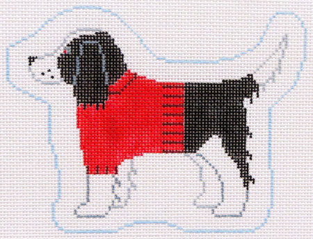 Springer Spaniel Profile