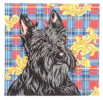 Scottie on Plaid