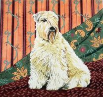 Soft-Coated Wheaten Terrier