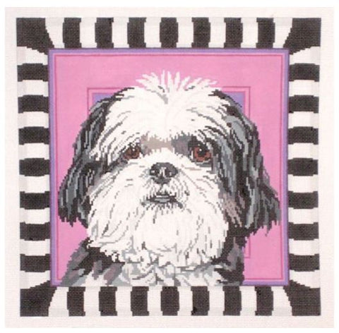 Shih Tzu Puppy Cut