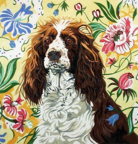 Springer Spaniel
