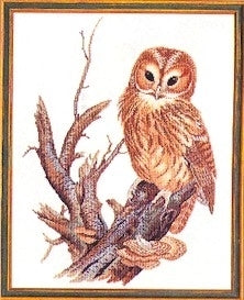 Owl - 14ct (Eva Rosenstand)