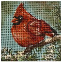 Red Cardinal