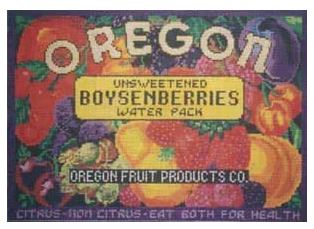 Oregon Boysenberries