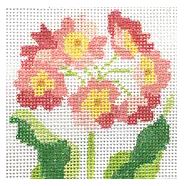 Primrose Coasters - Coral