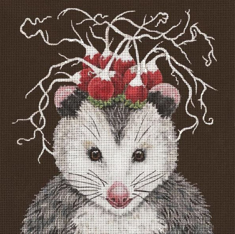 Einstein the Opossum