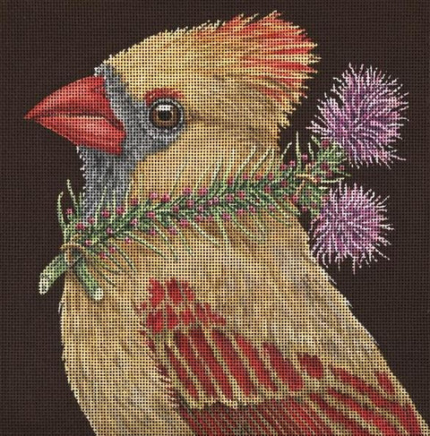 Lucy the Cardinal