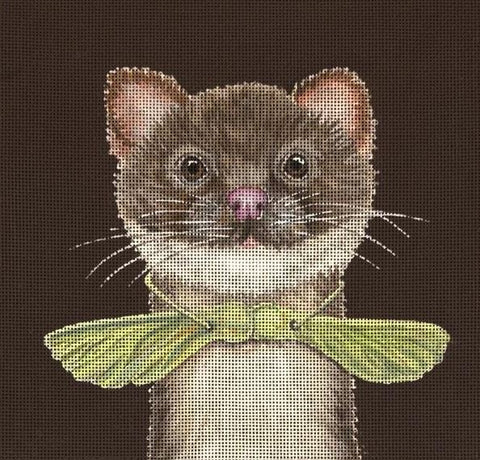 Timmy the Weasel