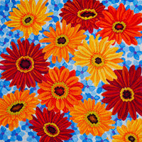 Happy Daisies are here Again