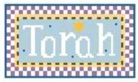 Tiny Inspirations - Torah