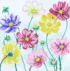 Cosmos Beauties (Jean Smith)