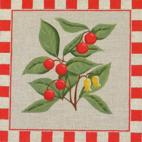 Red Wintergreen
