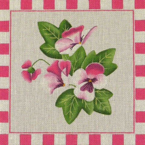 Lavender Pansy