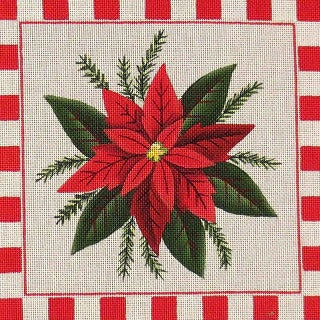 Poinsettia