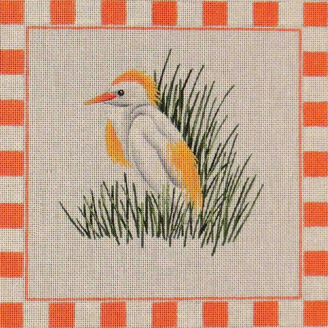 Cattle Egret