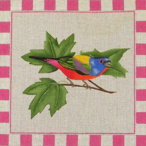 Painted Bunting 