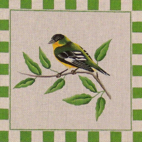 Gold Finch