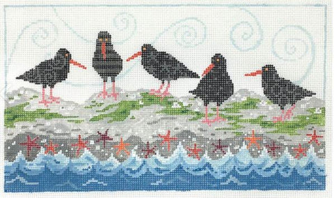 Oyster Catchers