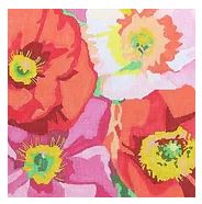 Shirley Poppy