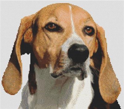 Foxhound