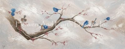 Fairy Wren Ventures -  Isabella Karolewicz