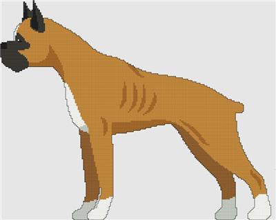 Boxer - Standing