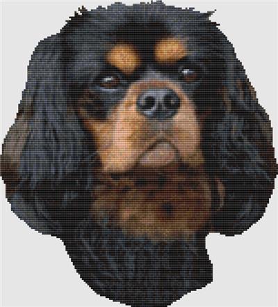 Cavalier Spaniel - Portrait (Black & Tan)