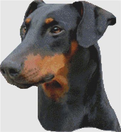 Doberman Pinscher - Portrait (Black & Tan)