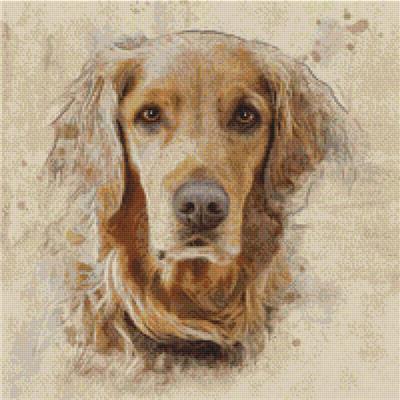 Golden Retriever - Artistic