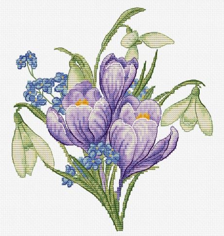 Spring Flowers