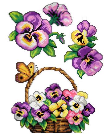 Violas