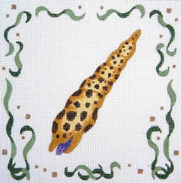 Gold & Brown Spotted Cone Shell