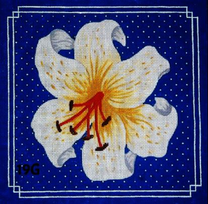 White Tiger Lily / Blue BG