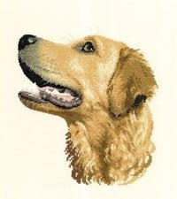 Gofa 
