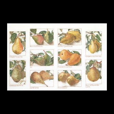 Pears