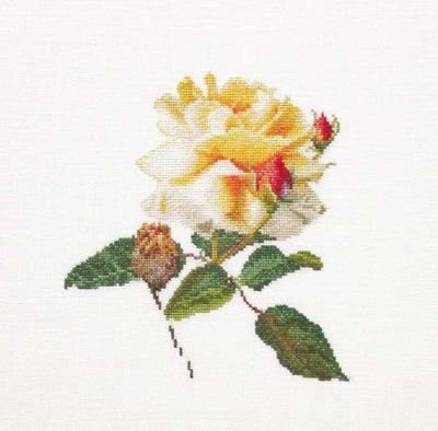 Rose Release
